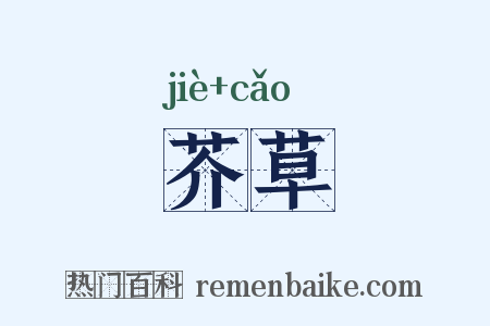 芥草是什么意思的图片